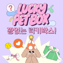[랜덤 럭키 박스] 데댕 강아지옷 강아지장난감 강아지악세사리