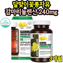 월경전 콜레스테롤 면역과민반응 증후군 X 약 3개월분 생리 전 영양제 달맞이기름 혈행 개선 효능 통심할때 피부상태 신진대사 달맞이꽃종자유 감마리놀렌산 여성 중년여성