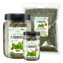 스테비아잎(인도) 모음 스테비아 잎차 설탕초 설탕대용, 스테비아잎[인도] 50g[통], 스테비아잎[인도] 50g[통]
