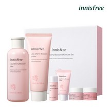 이니스프리 [이니스프리] 제주 왕벚꽃 스킨 케어 2종 세트, 단품없음