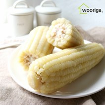 탱글탱글 백찰 냉동 삶은 찰옥수수 28개 (16cm-18cm 내외), 백찰옥수수 28개 (16cm~18cm 내외)