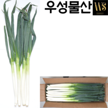 중국산 대파 10kg 대용량업소용 대파, 1개