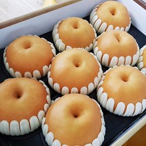 명품 나주배 선물용 가정용 선물세트 흡집배 못난이 배 5kg 7.5kg 15kg, 가정용 15kg(21-25과)