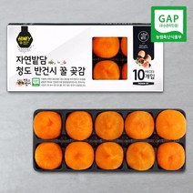 자연밭담 청도 반건시 10구 특상품 GAP인증 고당도 명품 실속 가정용 선물용, 6개