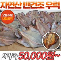 국내산 자연산 반건조 우럭 300g 3마리 반건조생선 양식X, 자연산 반건조 우럭 200~290g 3마리