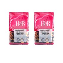 홀랜드앤바랫 밀크 초콜릿 건포도 견과류 피넛 250g Holland & Barrett Milk Chocolate Raisins Nuts Peanuts, 2팩