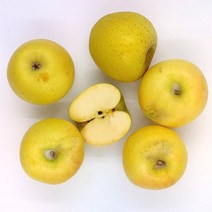 [더조은푸드] 황금사과 시나노골드 가정용 5kg (과수선택), 가정용 5kg 29-33과
