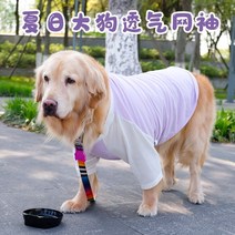 대형견옷 밀리터리 골든리트리버옷 진돗개겨울옷 대형 개 옷 여름 얇 섹션 골든 리트리버 사모예드 래브라도 여름 시원한 통기성 중형 개 대형 개, 라이트 퍼플 및 화이트 메쉬 소매, 7xl (권장 무게 60-75)