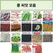 영미의정원 콩 씨앗 모음, 12.다-스파클완두콩 500g