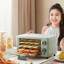 미니 식품건조기 강아지 반려동물 애견 간식 레트로, 민트그린