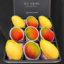 프리미엄 고당도 애플망고 골드망고 선물세트 2.4kg내외 6과 혼합 과일 선물, 3.6kg내외 9과, 1개