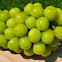 영동 샤인머스켓 2kg 고당도 씨없는 포도 망고포도, 샤인머스켓 2kg (2~4송이)