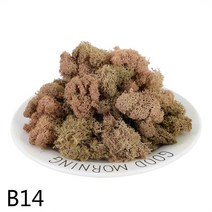 스칸디아 이끼 모스 액자 실내공기정화식물20/40g 자연 인공 식물 이끼 DIY 홈 벽 장식 정원 마이크, 14 B14_01 20g