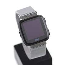 핏빗 버사 스트랩 메탈 메쉬 실버 시계줄 fitbit 마그네틱 시계밴드 CH05SV
