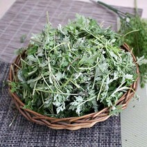 국내산 쑥1kg/쑥나물/봄나물/자연대로팜웨이, 쑥 1kg