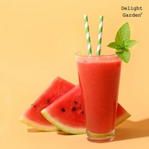 [딜라잇가든]냉동 HPP수박주스(100%)1kg x 3, 3개, 단품