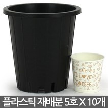 플라스틱 재배분 4호~7호(10개) - 화분 플라스틱분 양란 녹차 난화분 란화분 난재배분 양란화분 난재배 녹차재배분 긴화분, 02_청운_재배분(5호) X 10개