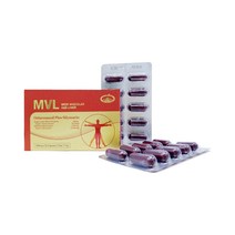 지방간 영양제 밀크씨슬 실리마린 옥타코사놀 MVL, 30캡슐, 6박스