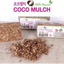 아시아종묘 코코칩스 중형 500g