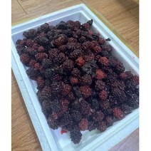 슈퍼복분자 햇 수확 생 냉동 토종 복분자 5Kg 1박스, 복분자
