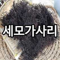 진도명가 세모가사리200g(100gx2봉), 단품