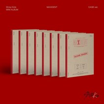 Stray Kids - MAXIDENT (CASE ver.) 버전 랜덤발송, 1CD