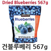 [RA㏓] co커클랜드 건블루베리 567g 건과일 말린 수입 수입일 코스트코일 건일 ▷_§Ea, 《본상품》