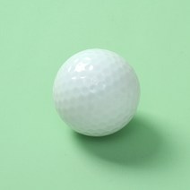 위널스 스크린골프공 칼라골프공 컬러 연습용 골프공