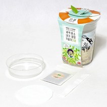 틔움세상 화분재배키트 한컵새싹농장 새싹채소 키우기, 밀싹
