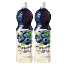자연은 블루베리 1.5L, 4개