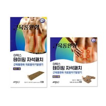 아텍스 근육통완화 테이핑 자석패치 허리 I형 6p + 리필용 6p + H형 4p + 리필용 4p, 5세트