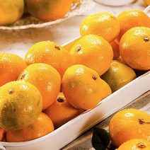 제주 타이벡 감귤 5kg (대과) 선물세트, 1개
