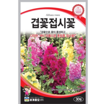 꽃 씨앗 겹꽃접시꽃 겹꽃으로 꽃이 풍성하고 다양한 색이 아름다운 혼합종