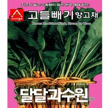 아시아종묘 고들빼기 향고채 씨앗종자 5000립 한국재래허브 씨앗 고들빼기종자 고들빼기씨앗 허브씨앗