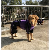 제조사 직거래 반려동물 의류 빅 도그 레인코트 빅 도그 네발 레인코트 빅 도그 펫 레인코트, 자색, L-XS