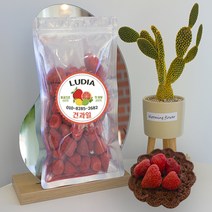 루디아건과일 동결건조딸기칩 건딸기 120g