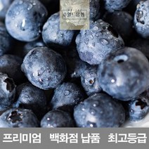저장_영화청과_납품_1kg_프리미엄_보관_백화점_시세_블루베리_재배_생_수입산_냉동 BA31, 상세페이지 참조