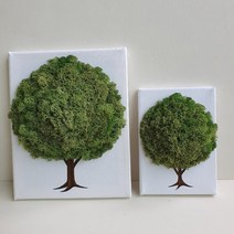 우주아트 스칸디아모스액자 미세먼지 공기정화식물 천연이끼 벽걸이 캔버스 액자 거실 인테리어 아이방꾸미기집들이선물, 미디엄그린