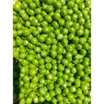 국내산 햇 생 (깐콩)완두콩 1kg