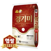 현대농산 2022년 햅쌀 진품 경기미 쌀 20kg 상등급, 1포