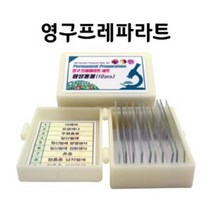 눈으로배우는 동물세포 현미경표본 세트 표분 관찰용파라트 생물체 실험준비물 영구