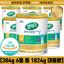 NEW 매일유업 속편한 셀렉스 코어프로틴 락토프리 분리유청 단백질 칼슘 비타민D 덴마크 원료 식약처인증 아연 마그네슘 우유맛 고단백, [총 1824g], 304g, 6개