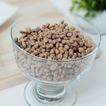 인삼 씨앗 새싹 삼 키우기 효능 먹는법 지피식물 모종 씨 1kg