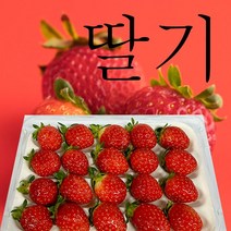 바른과일 딸기 고당도 프리미엄 달달한 생딸기 금실딸기 설향딸기 에어캡포장, [난좌 20구] 250g내외