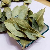 국내산 제주도 햇 구아바 100g 구아바잎 차, 1개