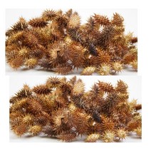 독고마리 도꼬마리 창이자 무첨가물 국내산 300g 2팩, 단품, 단품