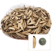 [동화오피스] 대량 나무조각 - 나무만들기 솔방울 나뭇가지, No.14번