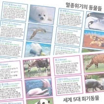 멸종위기 동물 열쇠고리 (12인) 희귀동물 과학상자 방과후 초등교과 교과서 수업 재료