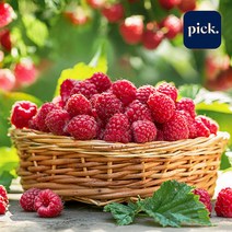 [간편 소포장] 급냉 산딸기 2팩 500g/ 4팩1kg, 250g 4팩 (총1kg)