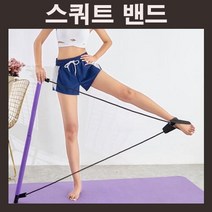 스쿼트밴드 스쿼트바 런지운동기구 복근운동 스트레칭밴드 다리운동 홈트기구 홈트용품 홈트레이닝 허리근력강화운동 뱃살운동기구 복부다이어트 뱃살다이어트 복근운동기구 윗몸일으키기기구 다이어트운동 홈트레이닝기구, LD-797 스쿼트밴드_퍼플